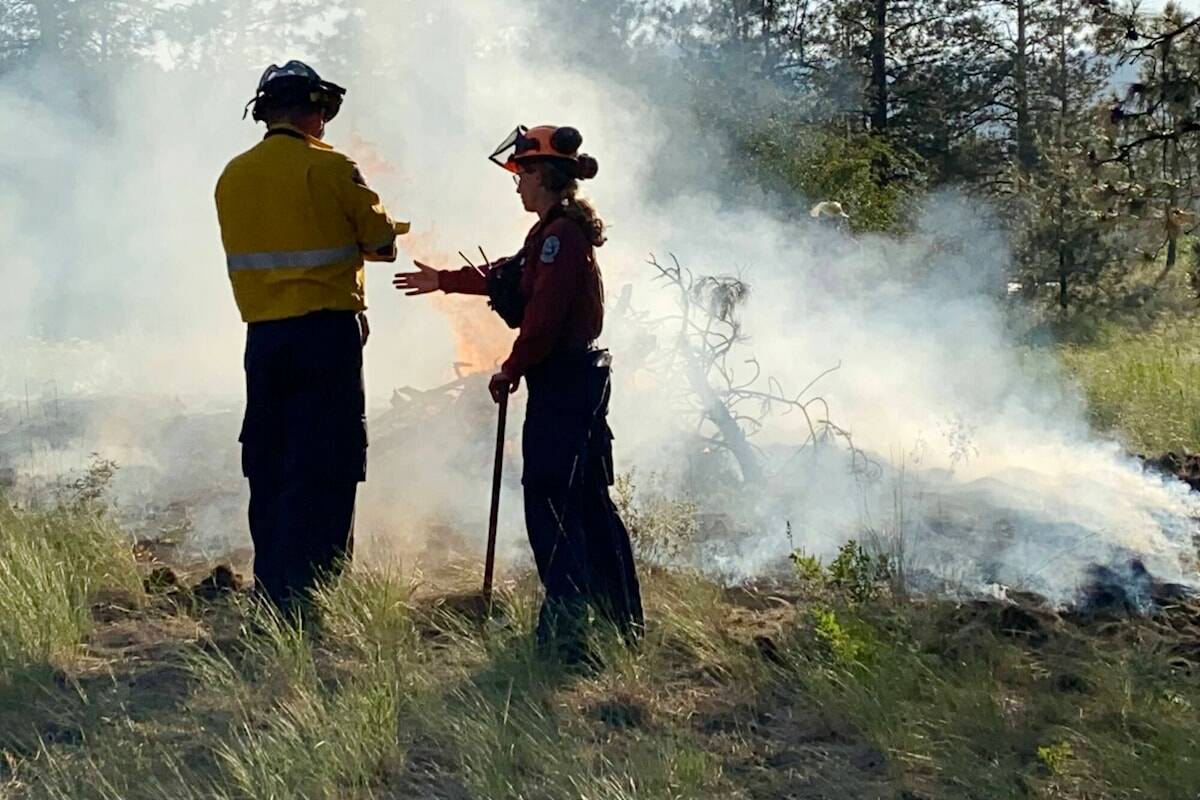 B.C. Wildfire Service, Forestry Ministry join BCGEU strike | Maple ...