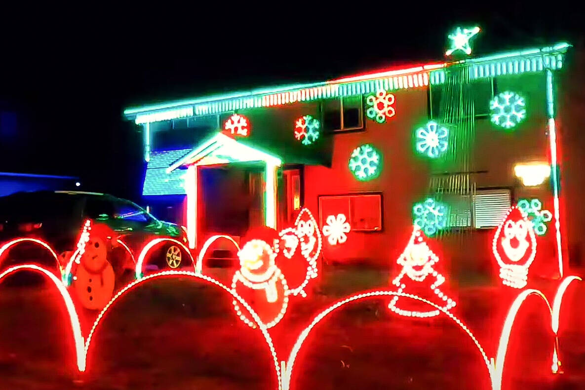 Free Christmas light tours being offered for seniors in Maple