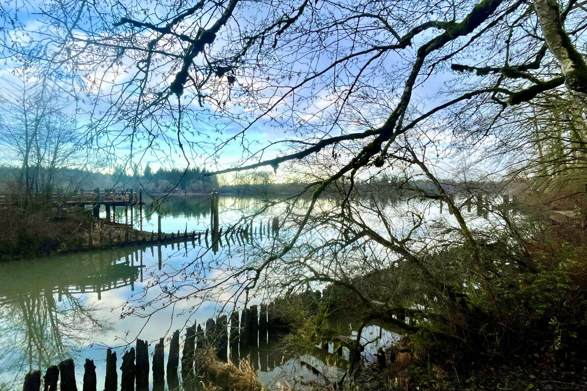 LETTER : Thanks go out to trail cleaner | Maple Ridge News