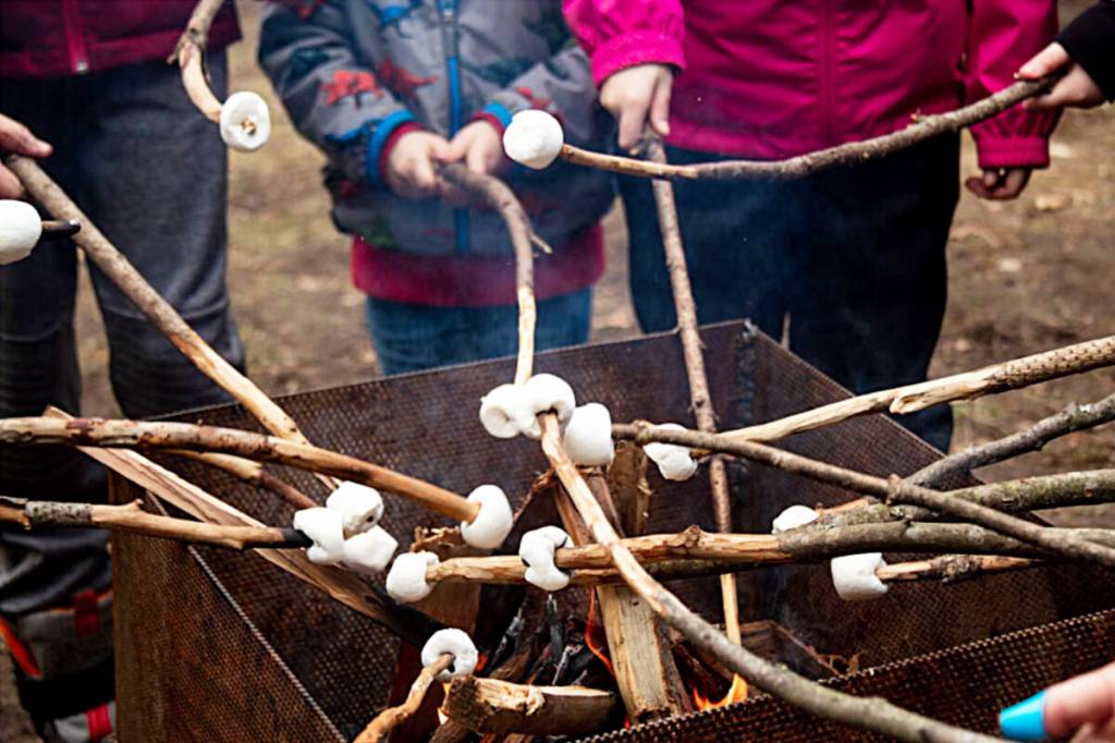 Family Day adventure planned at UBC Research Forest