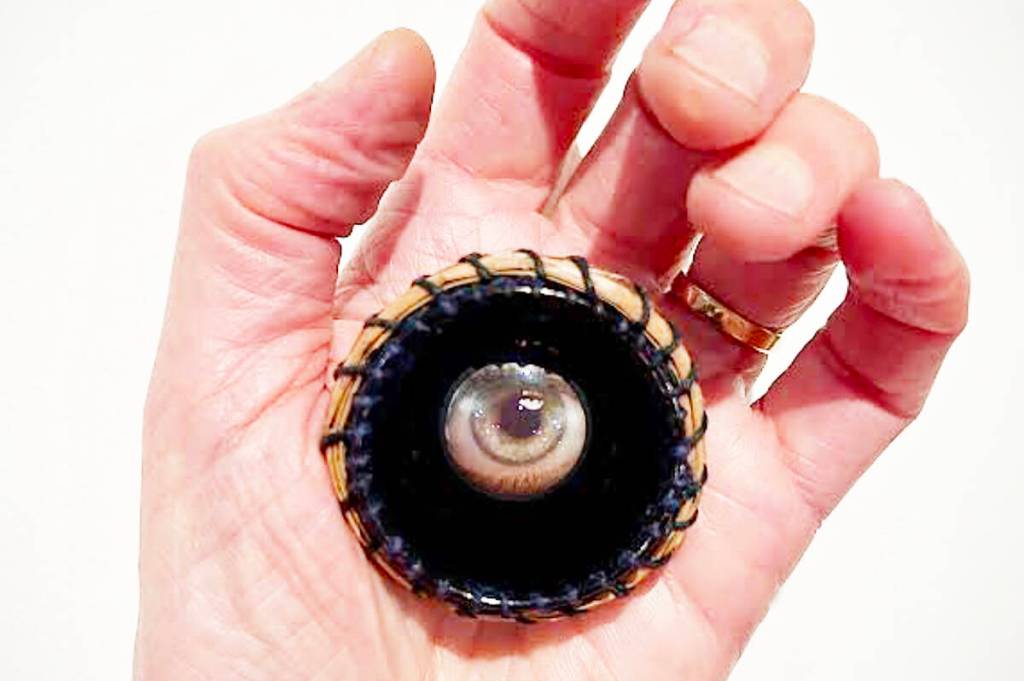 Whonnock artist featured in global exhibit